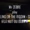 Mr ZEBRE play TRAVELLING ON THE RIDDIM – SENSI T@LA NUIT DU DUB#17