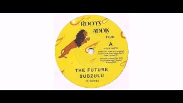 Subzulu – The Future – 7 – Roots Addis Muzik