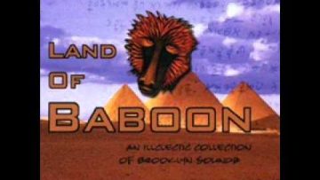 Survival Soundz – Dub is Dub (Land Of Baboon)