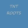 TNT Roots Dark Power Of The almighty Dub