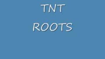 TNT Roots Dark Power Of The almighty Dub
