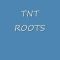 TNT Roots Dark Power Of The almighty Dub
