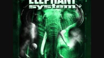 Elephant System – Comme Tu LSens Communication