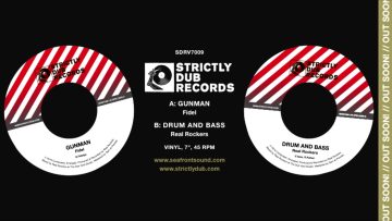 Fidel, Real Rockers – Gunman [SDRV7009]