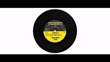 Joshua Hales – Rise And Fall – 7 – Dub Invasion Records