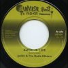 Judith and The Radix All Stars – Such Is Life Dub