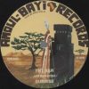 AMOUL BAYI RECORDS – AB1202 – Jah Marnyah – INI Nah Dubwise (12inch)