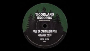 Conscious Youth – Fall Of Capitalism PT II