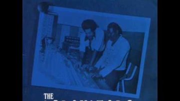 The Agrovators – Rough Voyage