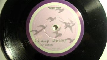 Chimp Beams – Echoman