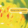 Clubhouse – Living In The Sunshine (R.A.F. Zone Mix) (1994)