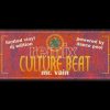 Culture Beat – Mr Vain [Mr Hardcore remix version]