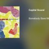 Capital Sound – Somebody Save Me