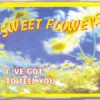 Sweet Flowers – Ive Got To Feel You (Extended Mix)