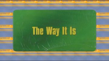 Chameleon – The Way it Is