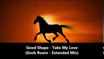 Good Shape – Take My Love (Gosh Room-Extended Mix) 1993