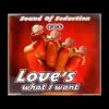 Sound Of Seduction – Love is what I want