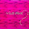 Wild Pink – Stay on these roads (1995)