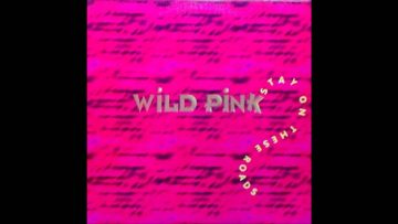 Wild Pink – Stay on these roads (1995)