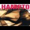 E. Hampton: Standing In The Light (Light and Shadow Pitched mix) 429
