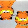 Garfield – Cool Cat