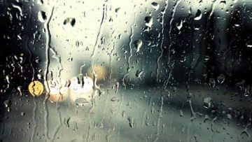 Ann Bell Fell – Rainy Dayz