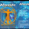 Afterlife – The End