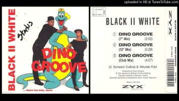 Black ll White – Dino Groove (12 Mix – 1993)