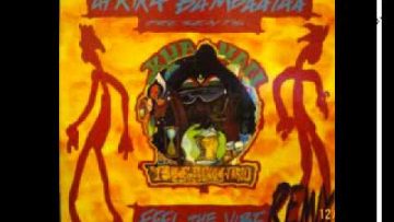 Afrika Bambaataa – Feel the Vibe (Remix) (Radi-O-Matik RMX)