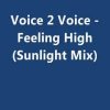 Voice 2 Voice – Feeling High (Sunlight Mix)