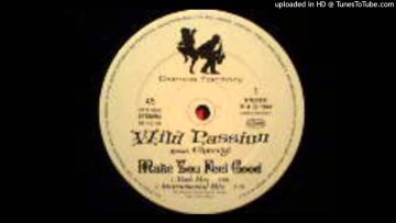 Wild Passion featuring Cherryl – Make you feel go