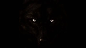 Megatronic and Chimo Bayo – Asi me Gusta a Mi