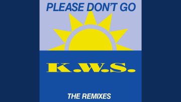 Please Dont Go