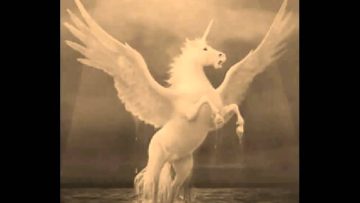 Darryl King – Give Up Your Guns (Radio Edit I)