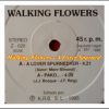 Walking Flowers – A Lover Spurned (Mix 2)