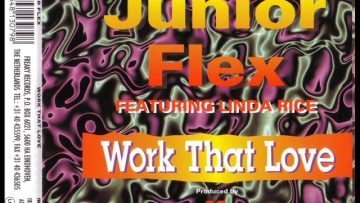 20 FINGERS feat. JUNIOR FLEX – Work that love (euro mix)