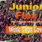20 FINGERS feat. JUNIOR FLEX – Work that love (euro mix)
