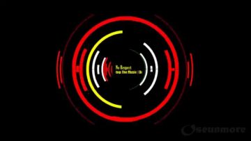 Dont Stop The Music – No Respect
