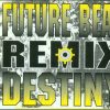 Future Beat – destiny (remix club)