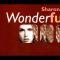 Sharon S. – Wonderful (vinyl club mix)
