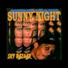 Sky Bazaar – Sunny Night (Radio Version)