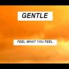Gentle – Feel What You Feel