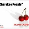 Indian Cherry – Cherokee People