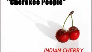 Indian Cherry – Cherokee People