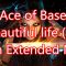 Ace of Base Beautiful life 12 Inch Extended Mix