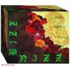 Bizz Nizz – Get Into Trance (Euro 12) (90s Dance Music)