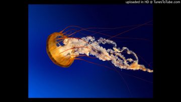 Lea Kiss Dont U Want Love Spiritual Mix