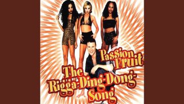 The Rigga Ding Dong Song (Radio Mix)