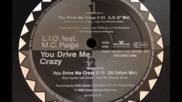 L.I.O. Feat. M.C. Paige – You Drive Me Crazy