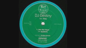 DJ Destiny Feat. Trixxy – Into The Future